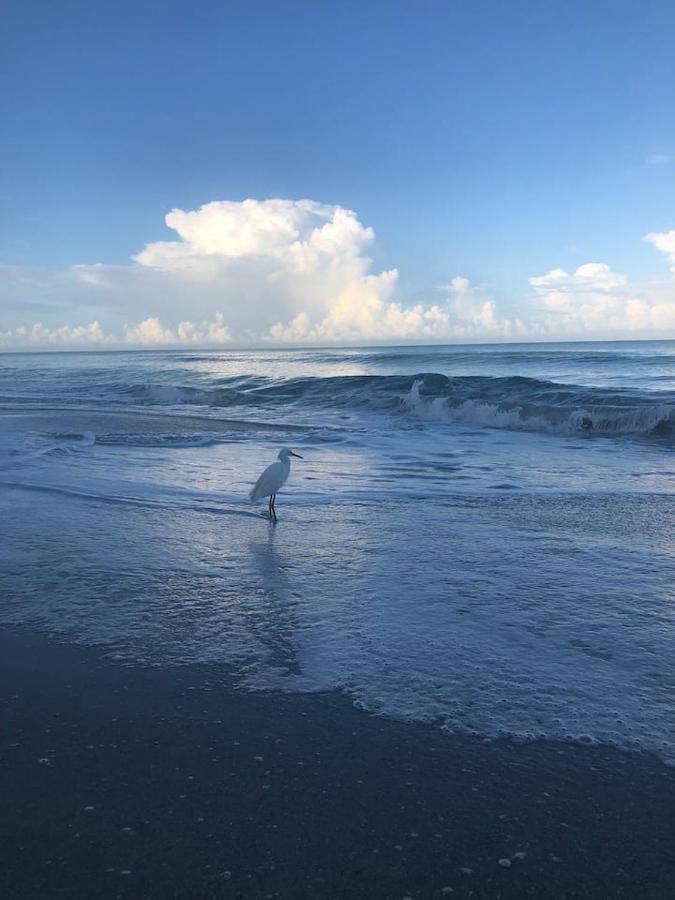 Naples Dream At Wtc With Heated Pool Spa Sauna 7 Bicycles And 3 Mls To Beach Екстер'єр фото